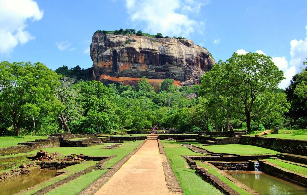 Sigiriya Peacock Homestay Exterior foto